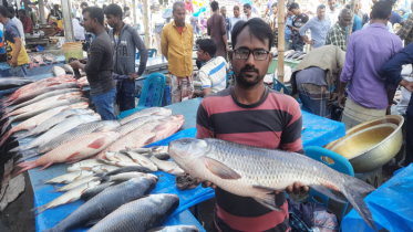 জয়পুরহাটে নবান্নের মাছের মেলা ঘিরে উৎসব