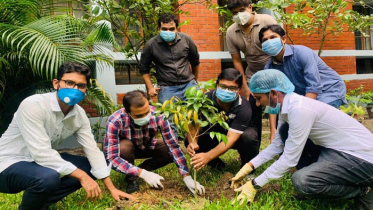 ‘মুজিব বর্ষ’ উপলক্ষ্যে দেশব্যাপী বৃক্ষরোপন করছে যুবলীগ