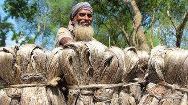 জাতীয় পাট দিবস আজ