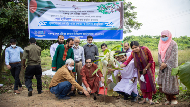 শেখ হাসিনার জন্ম না হলে বাঙালির স্বপ্ন অধরাই থেকে যেতো