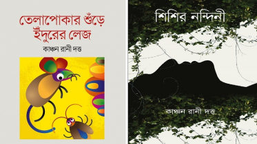 বইমেলায় ছোটগল্পের বই ‘শিশির নন্দিনী’