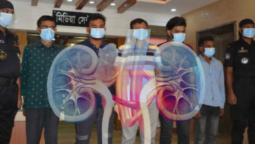 চার লাখে কিনে, বিক্রি ২৫ লাখ: কিডনি কেনা-বেচা চক্র গ্রেপ্তার