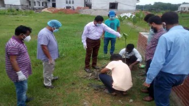 জাককানইবিতে বৃক্ষরোপন কর্মসূচির উদ্বোধন