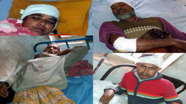 কলারোয়ায় জমি নিয়ে সংঘর্ষে জখম ৬