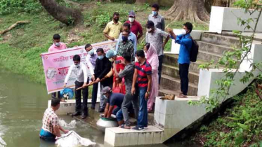 জাতীয় মৎস্য সপ্তাহ উপলক্ষে কলারোয়ায় মাছের পোনা অবমুক্ত