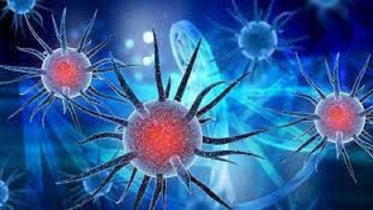 করোনায় সর্বোচ্চ ৭৭ জনের মৃত্যুর রেকর্ড