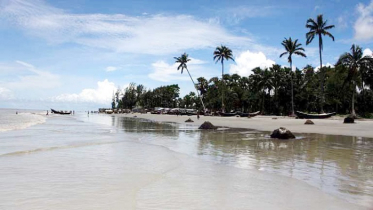 কুয়াকাটায় বাইকচাপায় প্রতিদিন প্রাণ হারায় ৬ হাজার কাঁকড়া