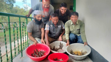 করমজলে পিলপিলের ডিমে ৩৮টি বাচ্চা ফুটেছে