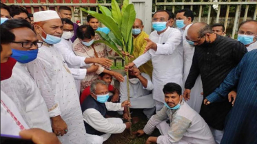 বঙ্গমাতার জন্মদিন উপলক্ষে কুড়িগ্রামে নানা কর্মসূচি পালিত