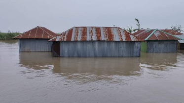 কুড়িগ্রামে আরও বাড়ছে বন্যার পানি, নতুন নতুন এলাকা প্লাবিত