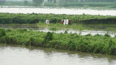 কুড়িগ্রামের নদ-নদীর পানি বৃদ্ধি, বন্যার আশংকা 