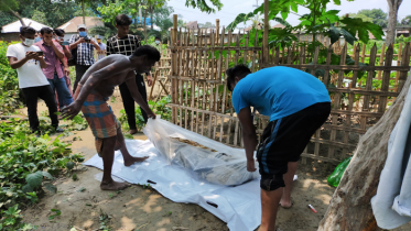 ২৬ দিন পর কবর থেকে গৃহবধূর লাশ উত্তোলন