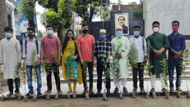 লাল সবুজ সংঘের এক লাখ গাছের চারা বিতরণ