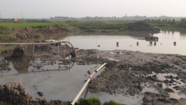 সরাইলের আকাশি বিল মাটি খেঁকোদের অভয়ারণ্যে পরিণত