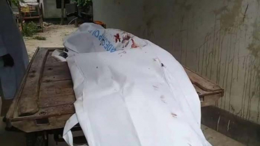 ভাঙ্গা এক্সপ্রেস ওয়ে গাড়ির চাপায় পথচারীর মৃত্যু