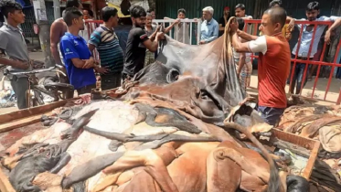 কোরবানির চামড়া ব্যবস্থাপনায় বাণিজ্য মন্ত্রণালয়ের তিন পর্যায়ে কমিট