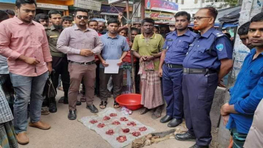 লক্ষ্মীপুরে শেয়ালের মাংস বিক্রির দায়ে কারাদণ্ড 