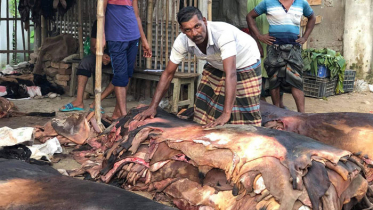 চামড়ায় সুবাতাস