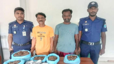 নবাবগঞ্জে গাঁজাসহ ২ মাদক বিক্রেতা গ্রেপ্তার
