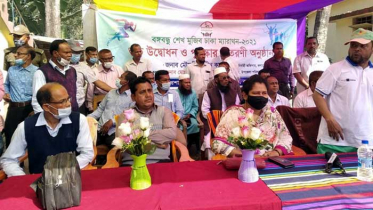 কলারোয়ায় ম্যারাথন দৌড় প্রতিযোগিতা অনুষ্ঠিত