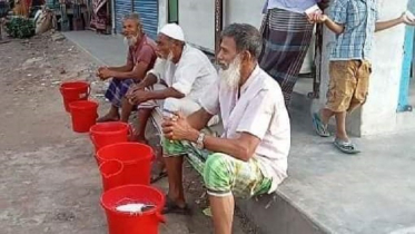 সরাইলে হঠাৎ বেড়েছে গরুর দুধের দাম