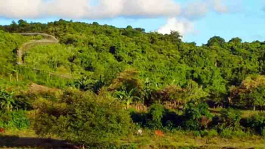 তুমব্রু সীমান্তে ফের গোলাগুলি, সতর্ক বিজিবি