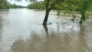 বৃষ্টির সাথে জোয়ারের পানিতে ডুবছে সুন্দরবন