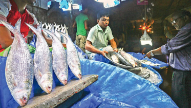 নিষেধাজ্ঞা শুরুর আগে মোংলায় বেড়েছে ইলিশের দাম