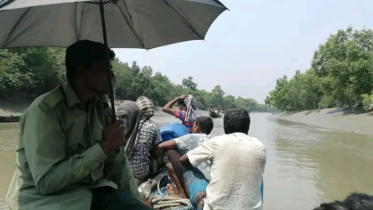 সুন্দরবনে মাছ ধরতে গিয়ে বড় ভাই জেলে, ছোট ভাই নিখোঁজ