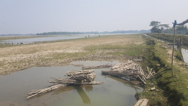 মোংলায় ছাত্রলীগ নেতার মাছের ঘের লুট