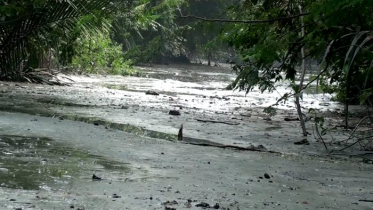 মোংলায় ড্রেজিংয়ের বালু ফেলে সরকারী খাল ভরাট