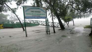 মোংলায় বেড়েছে বৃষ্টিপাত, সুন্দরবনে কমেছে পর্যটক