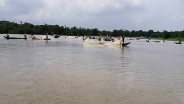 হুমকির মুখে প্রাকৃতিক মৎস্য প্রজনন স্থল হালদা (ভিডিও)