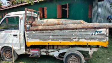 মৌলভীবাজারে চোরাইকাঠসহ আটক ৩