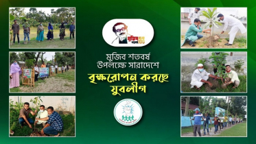 মুজিব শতবর্ষে যুবলীগের বৃক্ষরোপন কর্মসূচী উদ্বোধন