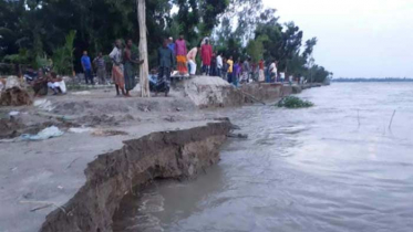 তিস্তার ভাঙনে দিশেহারা নদী পাড়ের মানুষ  