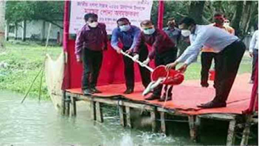 জাতীয় মৎস্য সপ্তাহ উপলক্ষে নওগাঁয় মাছের পোনা অবমুক্ত