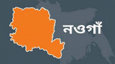 নওগাঁয় সাপের ছোবলে মা-ছেলের মৃত্যু