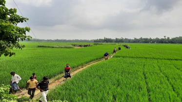 সিরাজগঞ্জে নাপিতকে হত্যা