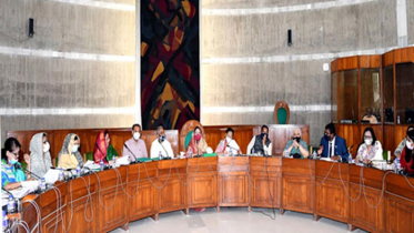 নারীর প্রতি সহিংসতা প্রতিরোধে সামষ্টিক সচেতনতা তৈরির পরামর্শ