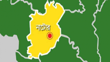 বাগাতিপাড়ায় ট্রেনের ধাক্কায় এক ব্যক্তি নিহত