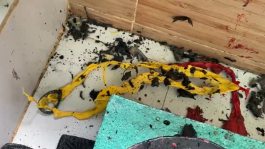 নারায়ণগঞ্জে গ্যাস বিস্ফোরণ, একই পরিবারের চারজনসহ দগ্ধ ৫