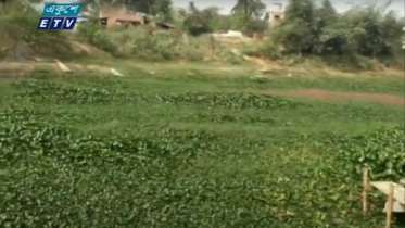 নাব্যতা হারিয়ে আগের অবস্থায় ভৈরব নদ (ভিডিও)