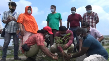 মুজিব শতবর্ষ উপলক্ষে নোঙরের বৃক্ষরোপন