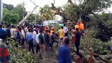 সিত্রাং: ৮ জেলায় ১৫ মৃত্যু