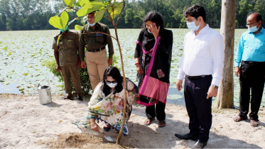 ধামইরহাটে আলতাদিঘী জাতীয় উদ্যানে বিরল প্রজাতির বৃক্ষরোপন