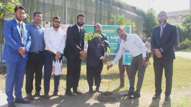 পাবিপ্রবিতে বৃক্ষরোপণ ও ডিজিটাল বুথ উদ্বোধন