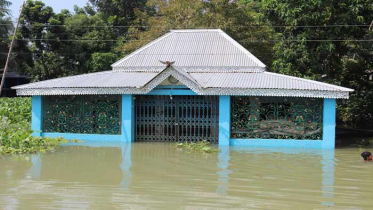 পদ্মায় পানি বৃদ্ধি, পানিবন্দী হাজারও মানুষ