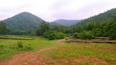 আজ আন্তর্জাতিক পর্বত দিবস