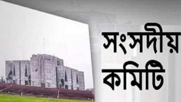 রাজাকারের সন্তানদের চাকরিতে আন্তর্জাতিক নীতিমালা অনুসরণের সুপারিশ